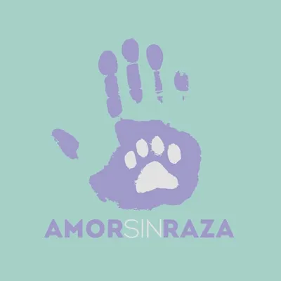 AMOR SIN RAZA profile