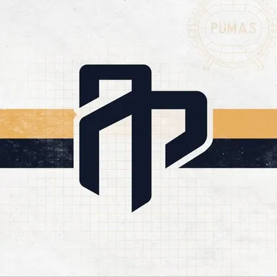 Análisis Puma profile