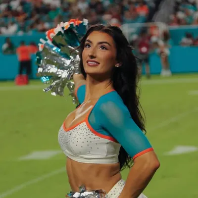 ANALYNN HUDSON HENDRY profile