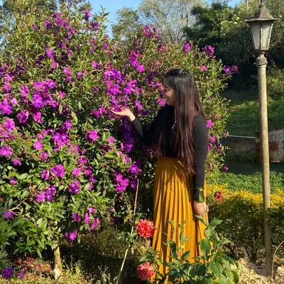 Anam profile