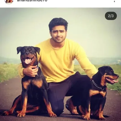 Anand Shinde profile