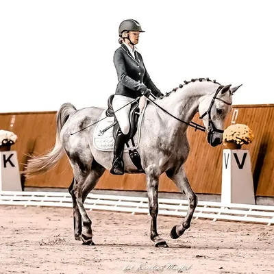 Anastazja F profile