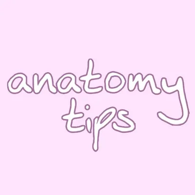 anatomytips profile