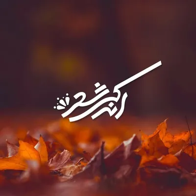 ❤️😉...قراره متفاوت عاشقی کنیم profile