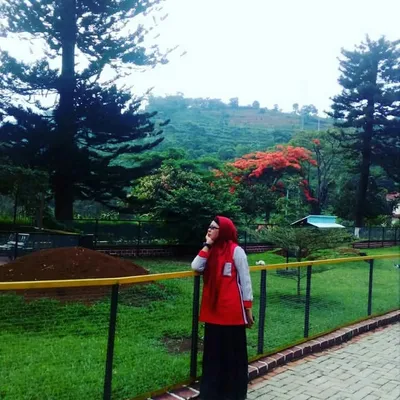 Andi Rohani profile