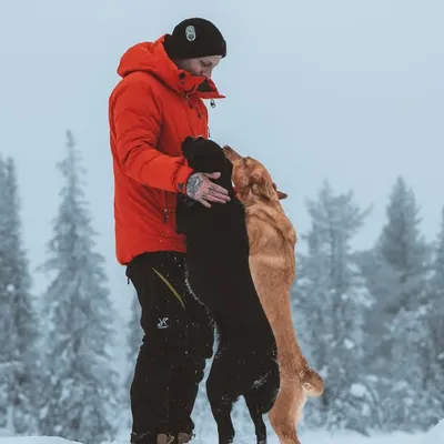 Andreas Tiensuu | Dogs and Life profile