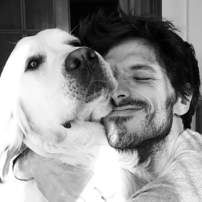 Andrés Velencoso Segura profile