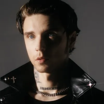 Andy Biersack profile