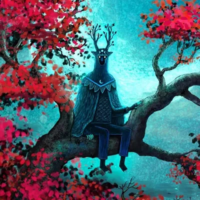Andy Kehoe profile