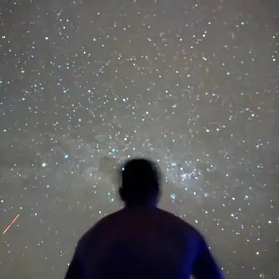 STEFANDY profile