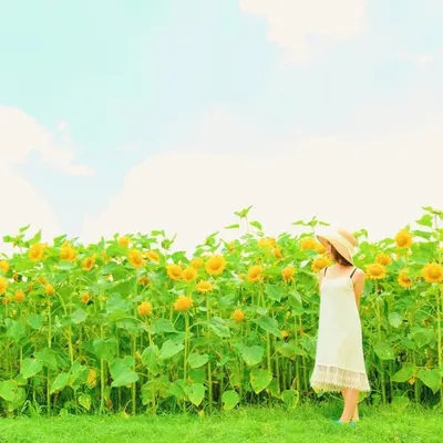 あんじゅ ❁┈┈ ゆるふわのせかい ┈┈❁ profile