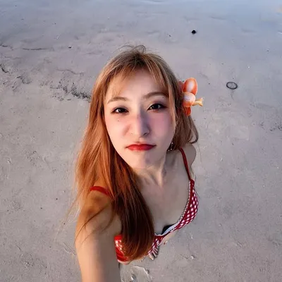 Angeline 安小本安 🐣 안젤린 profile