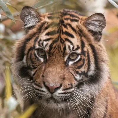 Angelo's photography profile