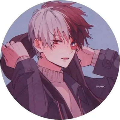 Animes profile
