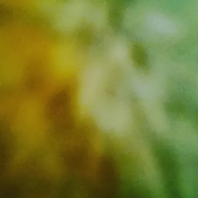 s s s profile