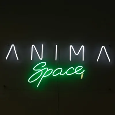 ANIMA SPACE | СТУДИЯ ЙОГИ СПБ profile