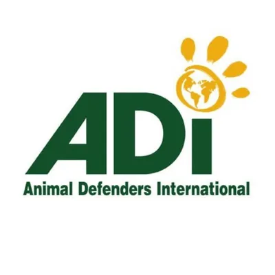 Animal Defenders International profile