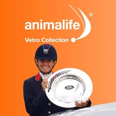 Animalife profile