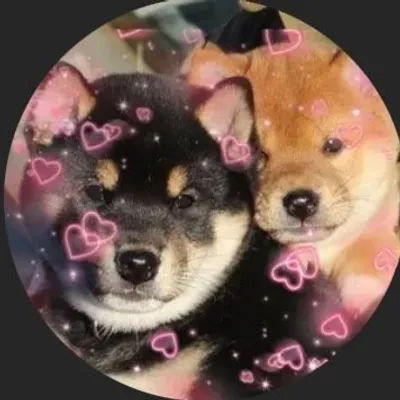 ⭐️ Animalitos Chilean ⭐️ profile