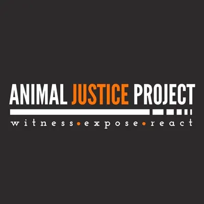 Animal Justice Project | Animal Rights | Veganism profile