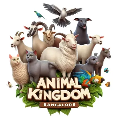 Animal Kingdom Bangalore profile