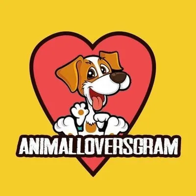 ANIMALS ❤️ profile