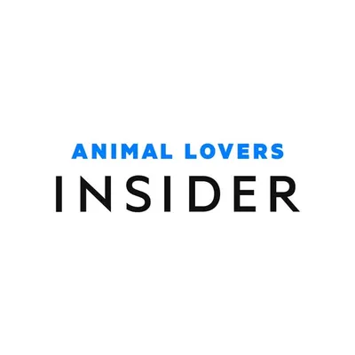 Animal Lovers Insider profile