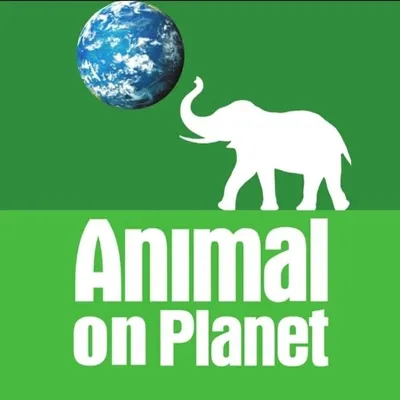 Animal on ๐ profile