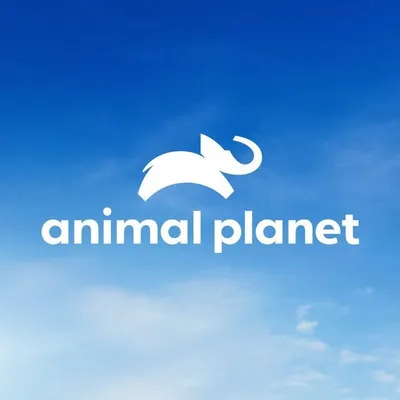Animal Planet profile