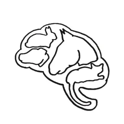 Animals.Interest profile