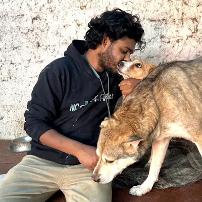 Animal Care profile