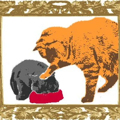 Animals Are Jerks profile