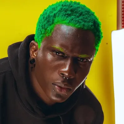 STEEVE AUKINGSO ALIAS ANIMAL SHADOW profile