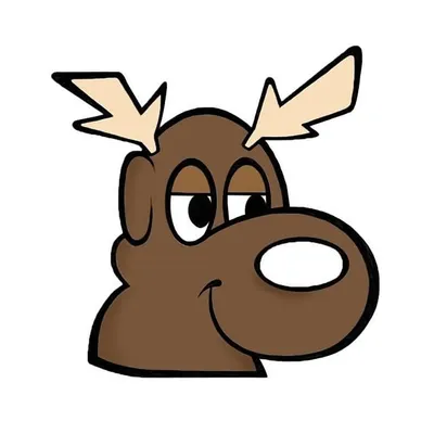 Animals of Instagram ๐ถ๐ฃ๐ป profile