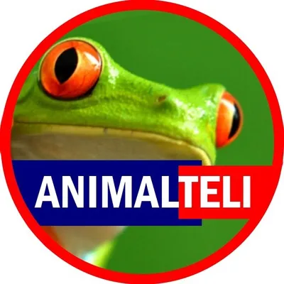 Daily Animal Posts profile