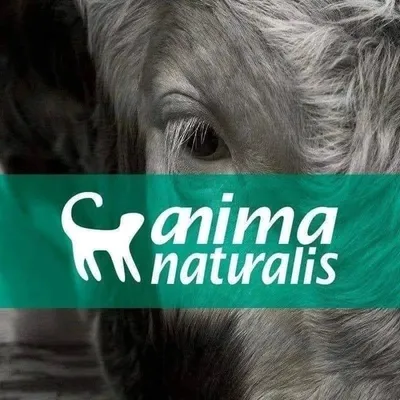 AnimaNaturalis profile