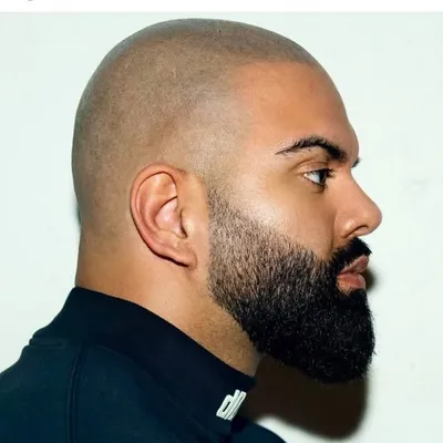 ANIMUS profile