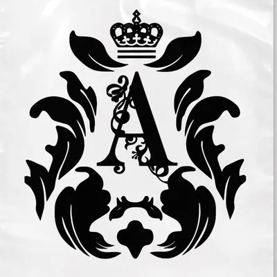 Anin Inc profile