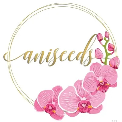 Aneesa profile