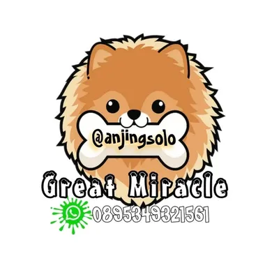 Great Miracle profile