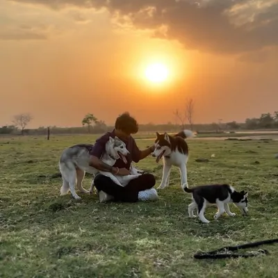 अंकित चौहान 💫 profile