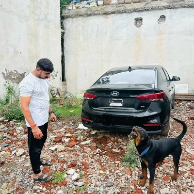 Ankit Rajak profile