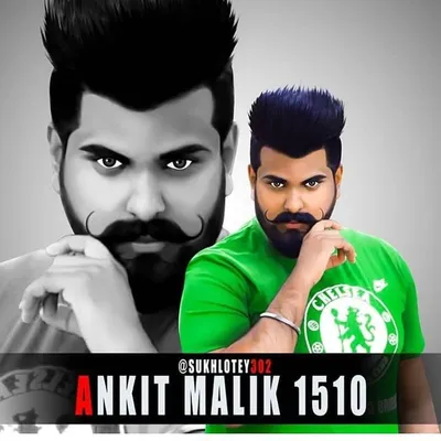 Ankitmalik profile