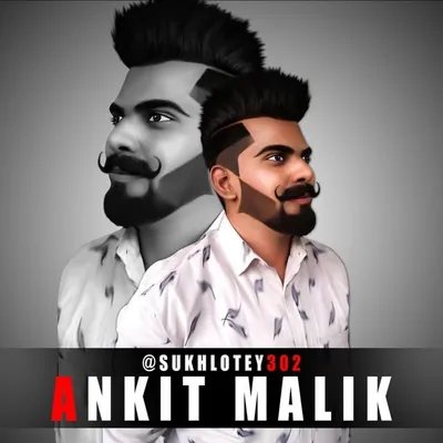 Ankit Malik profile