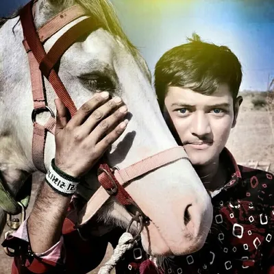 ankur ____ramoliya profile