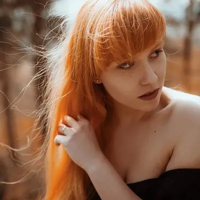 profile