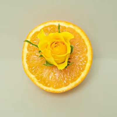 Berlin product photographer profile