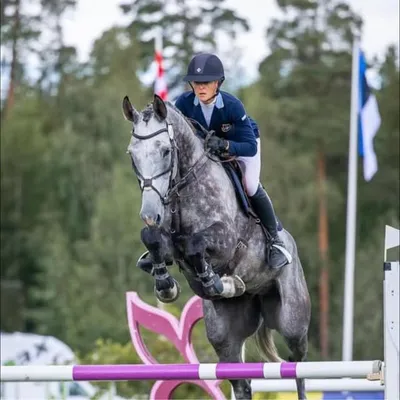 Anna Freskgård profile