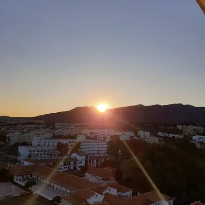 Carpe Diem profile