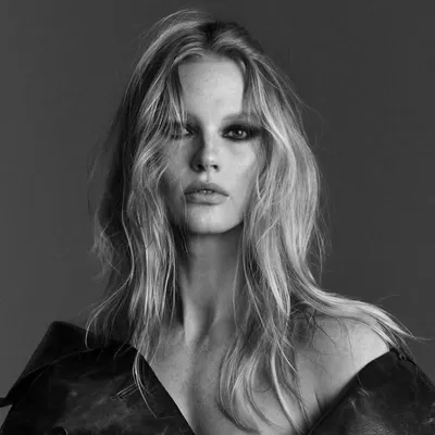 Anne V profile